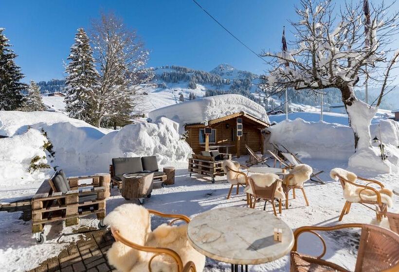 فندق Roggenstock Lodge