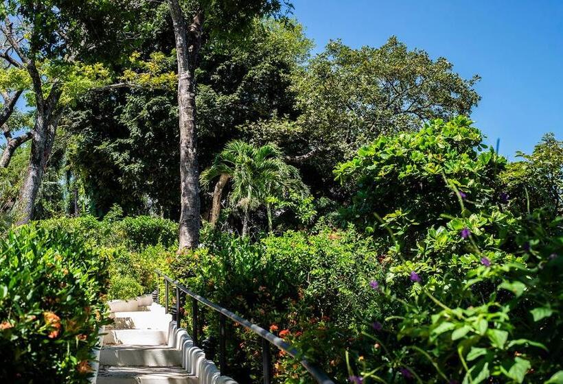 酒店 Tierra Magnifica Boutique