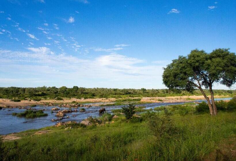 Mjejane Bush Camp By Dream Resorts