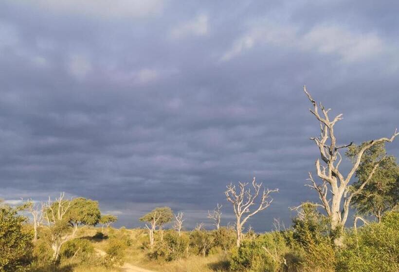Mjejane Bush Camp By Dream Resorts