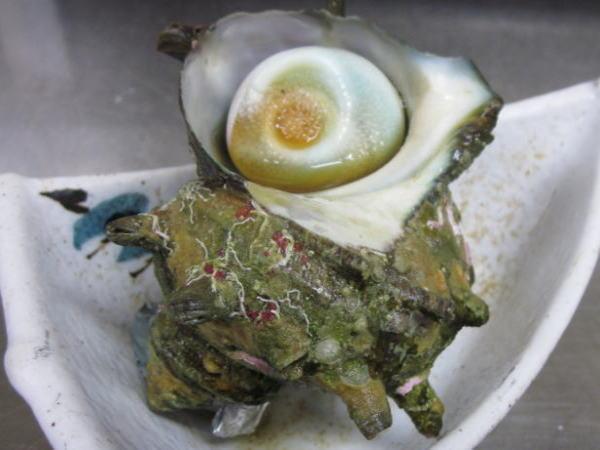 ريوكان Ryoshi No Onsenyado Taro