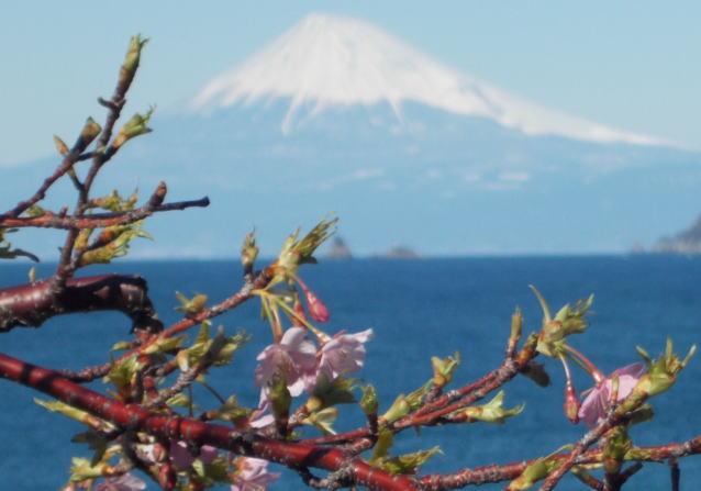 ريوكان Ryoshi No Onsenyado Taro