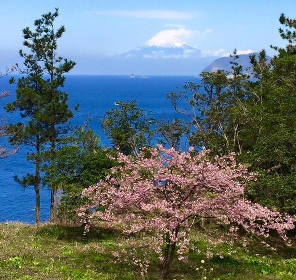 ريوكان Ryoshi No Onsenyado Taro