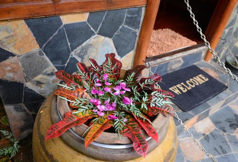 Viang Yonok Hotel, Restaurant, Sports Club