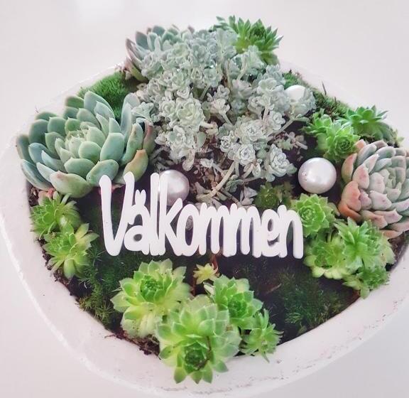 הוסטל Spirans Rum Och Logi