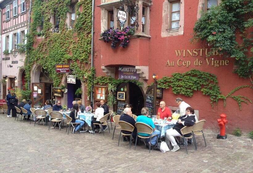 مبيت وإفطار Au Cep De Vigne