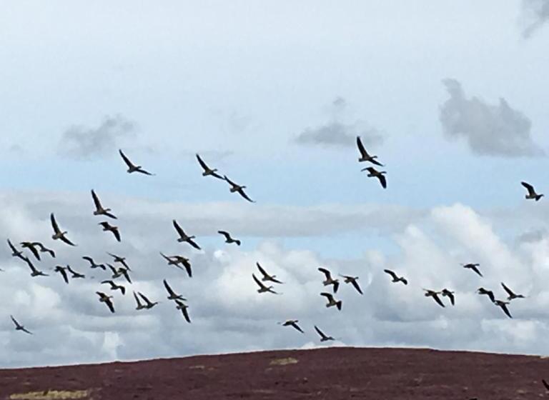 민박 Bonners Lodge