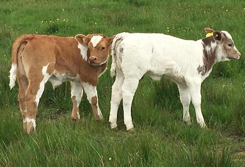 민박 Bonners Lodge