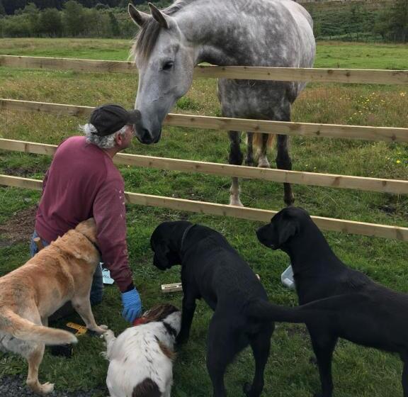 민박 Bonners Lodge