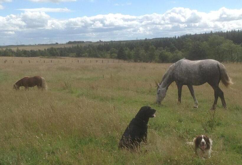 민박 Bonners Lodge