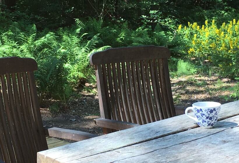 مبيت وإفطار Lille Carlsson