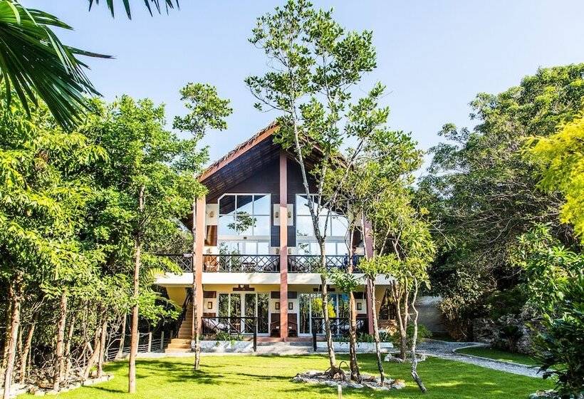 Edgewater Dive & Spa Resort