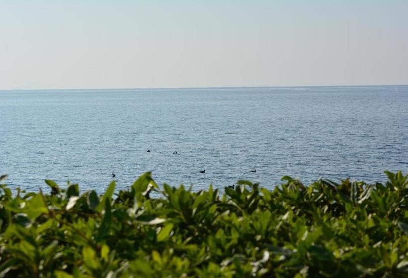 Отель Hikone View