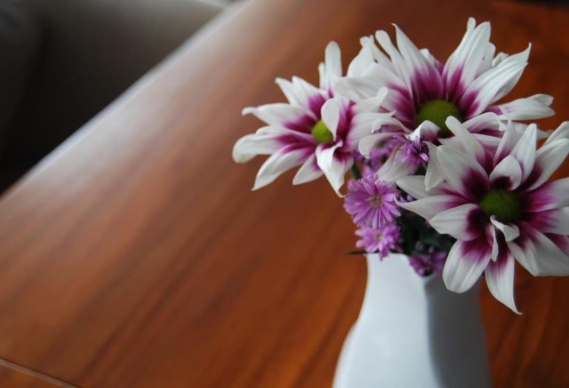 酒店 Horison Inn Alaska Semarang