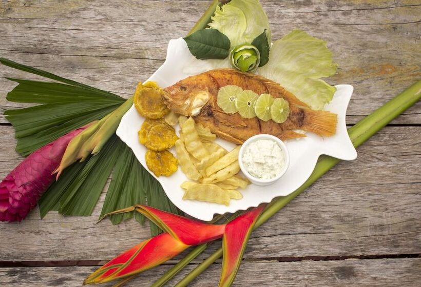 فندق Hostería Bohios