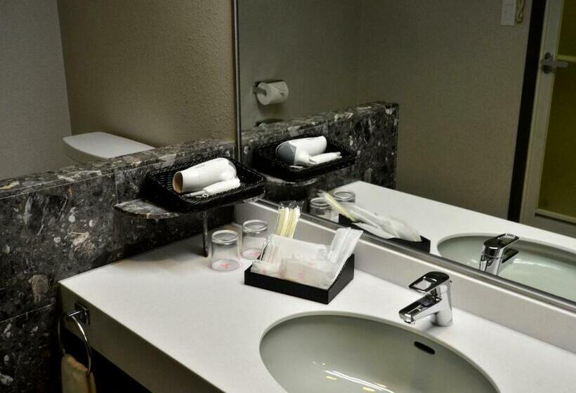 בית מלון כפרי Tanegashima Iwasaki