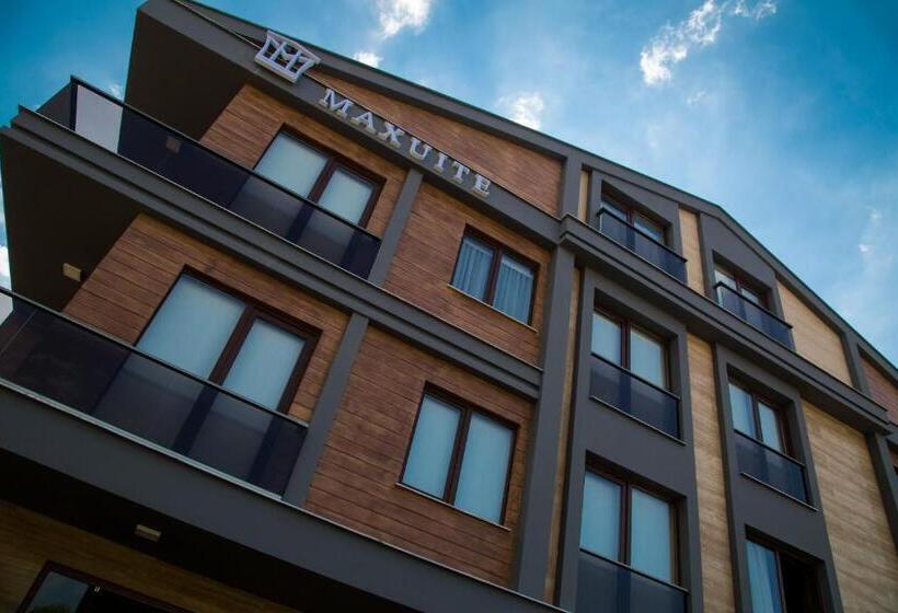 Maxuite Hotel In Home