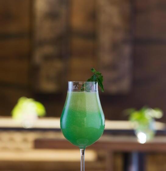 Regenta Central Hotel & Convention Centre Nagpur