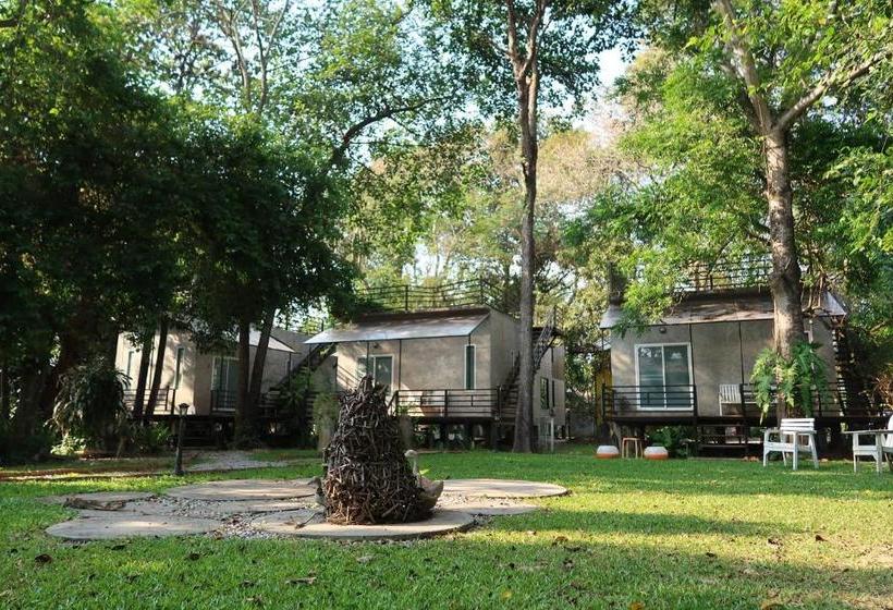 אתר נופש Mama Tree