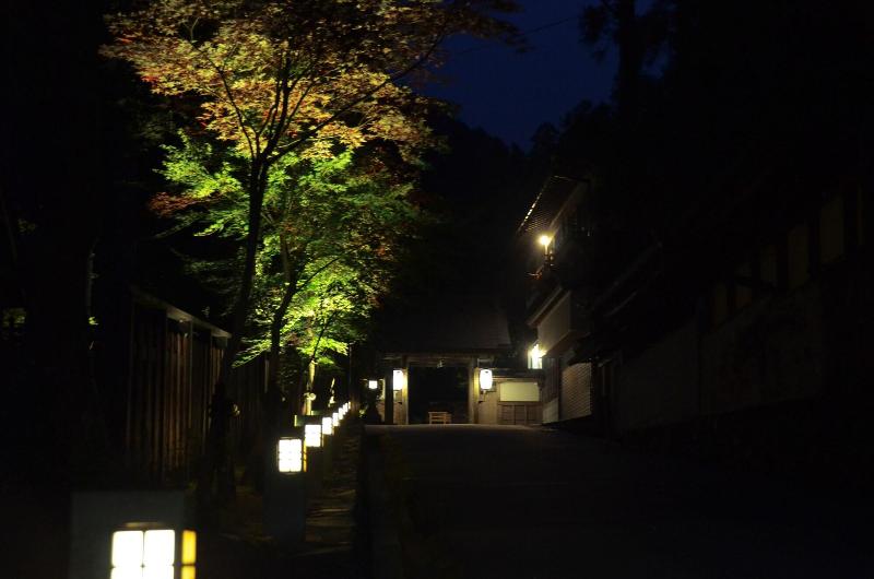 ريوكان 高野山 宿坊 不動院 Koyasan Shukubo Fudoin