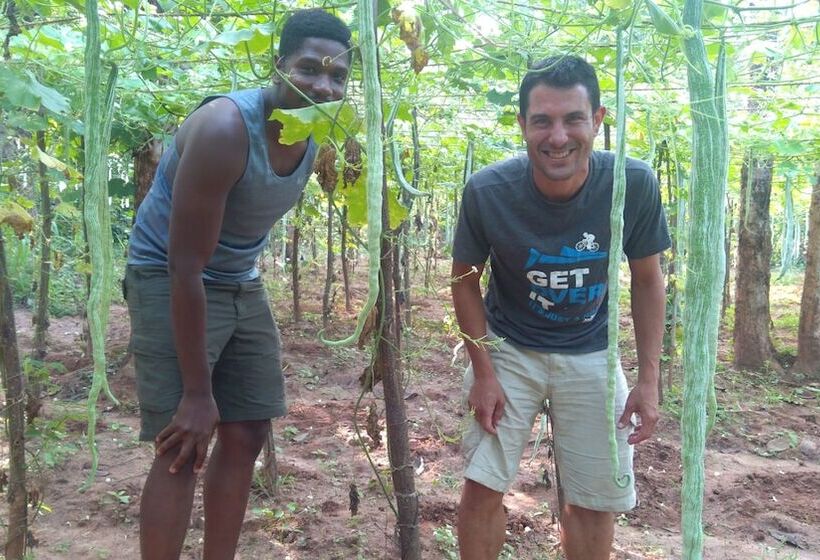 リゾートホテル Araliya Self Cooking Hostel