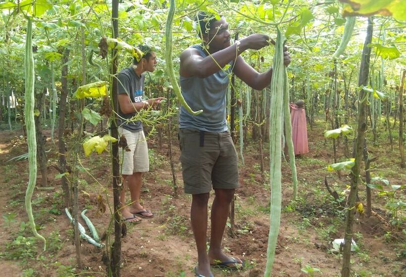 リゾートホテル Araliya Self Cooking Hostel