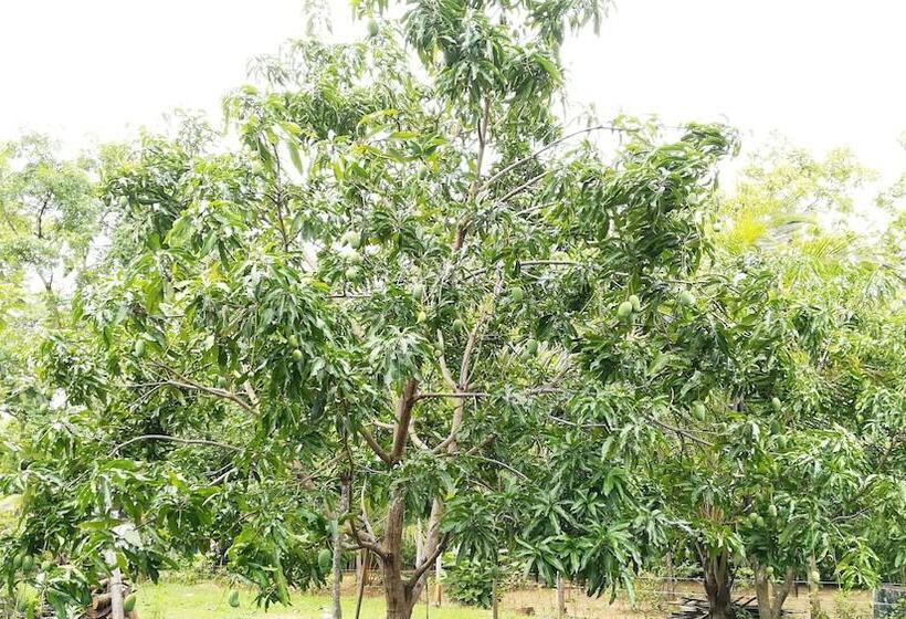 リゾートホテル Araliya Self Cooking Hostel