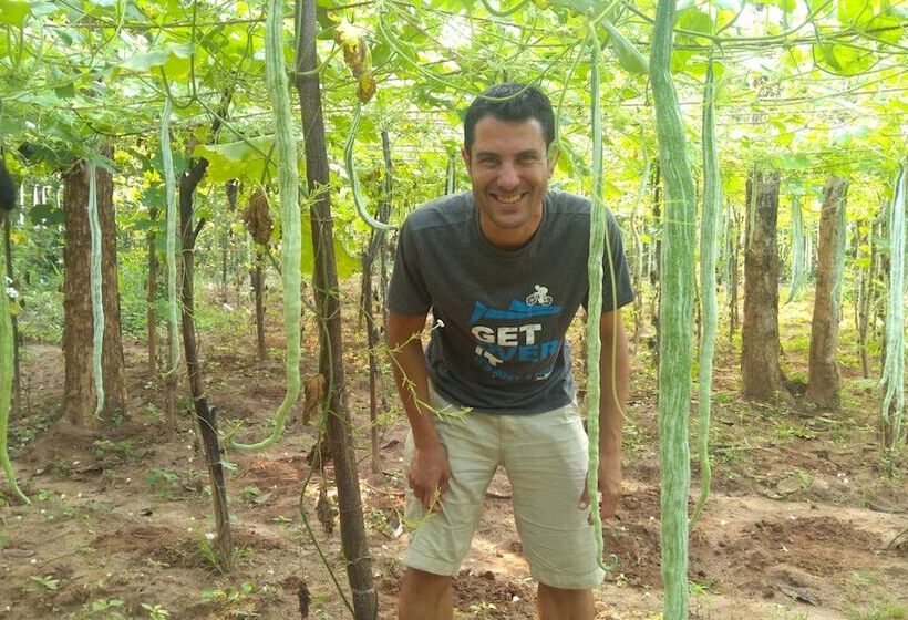 リゾートホテル Araliya Self Cooking Hostel