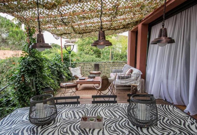 Bed And Breakfast Shandita