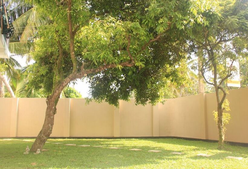 Bobo S Bed & Breakfast