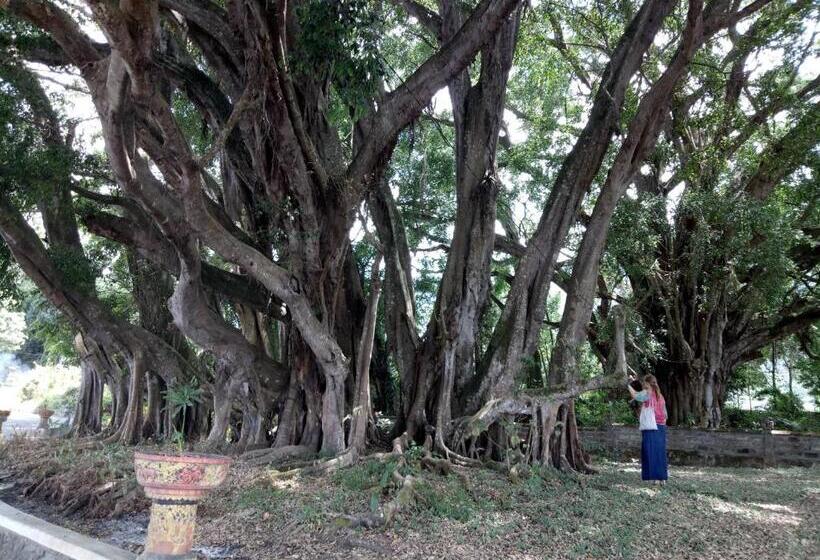 Bunbulan Hill Hostel And Cottage
