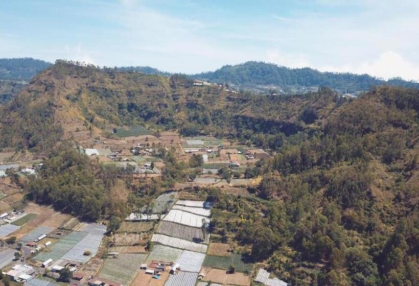 Bunbulan Hill Hostel And Cottage