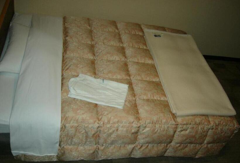 Отель Ageo Tobu