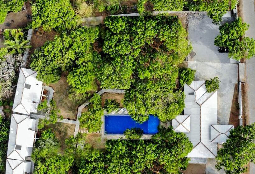 ホテル Arana By Forest Trails