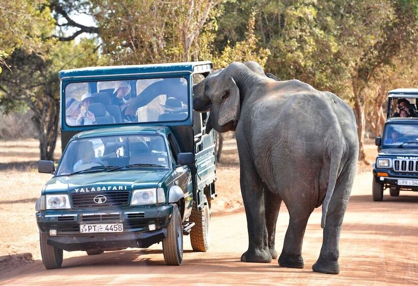 ホテル Arana By Forest Trails