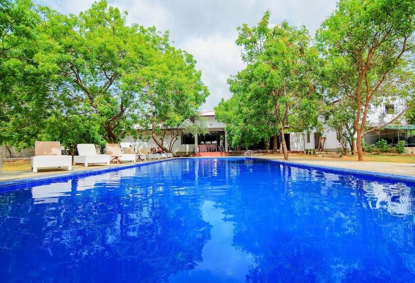 ホテル Arana By Forest Trails