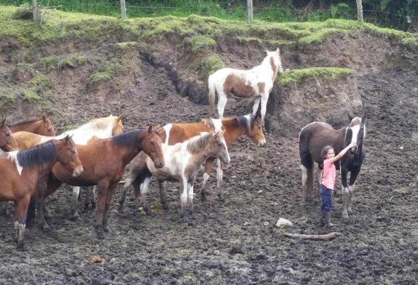 Отель Hacienda El Sinche