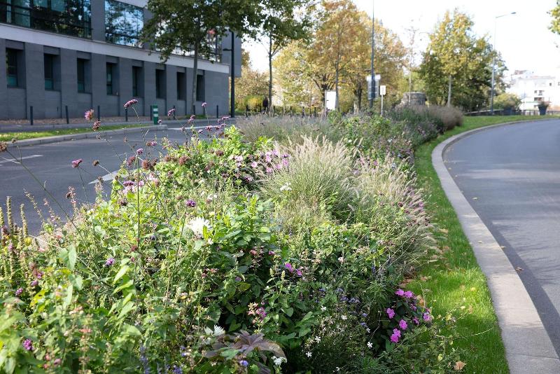 فندق Le Grand Albert 1er