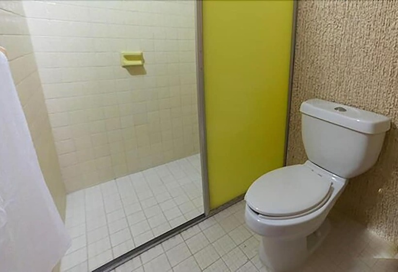 فندق Plaza Palmas