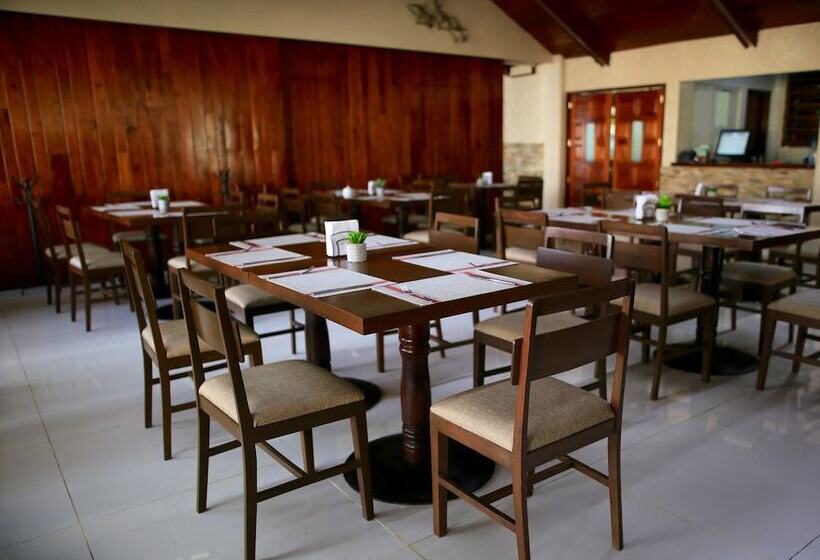 فندق Plaza Palmas