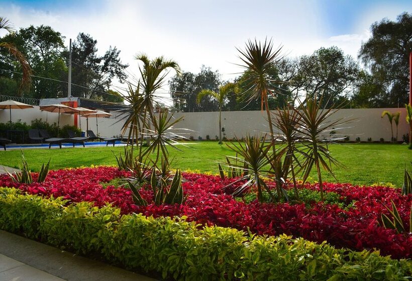 فندق Quinta Tequisquiapan