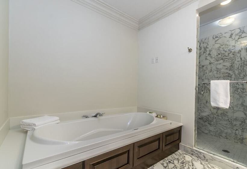 Отель Ryan Mansion