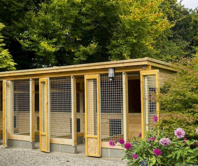 فندق The Cookie Jar