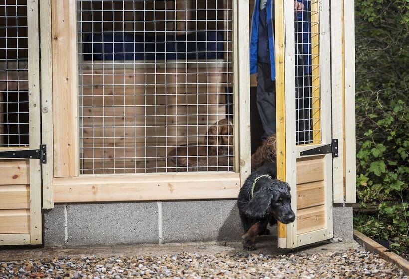 فندق The Cookie Jar