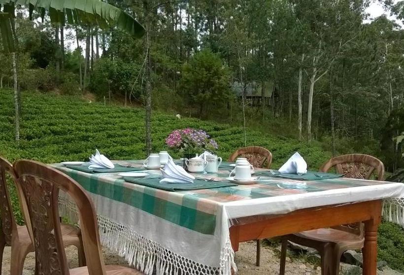 호텔 Yathra Mount Inn