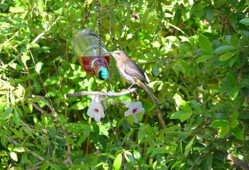 مبيت وإفطار The Blue Door