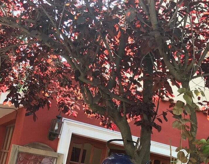 Anami Hotel Boutique