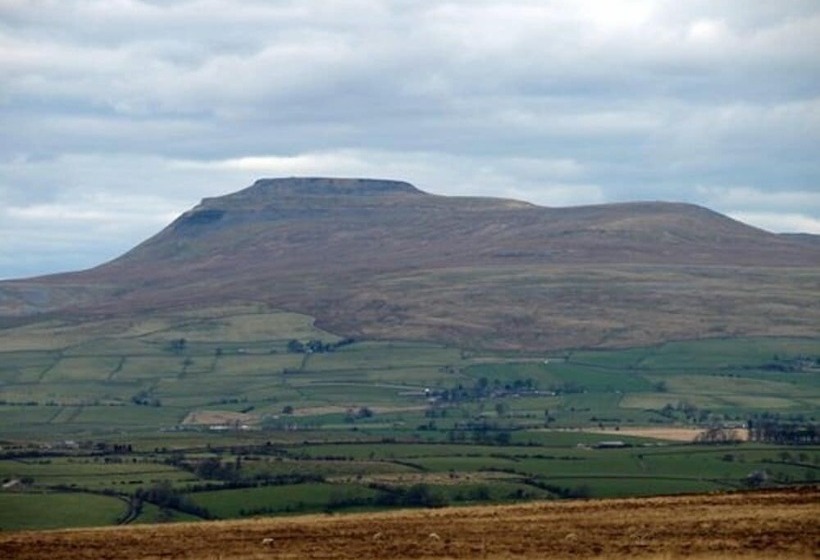 ベッドアンドブレックファースト Black Bull