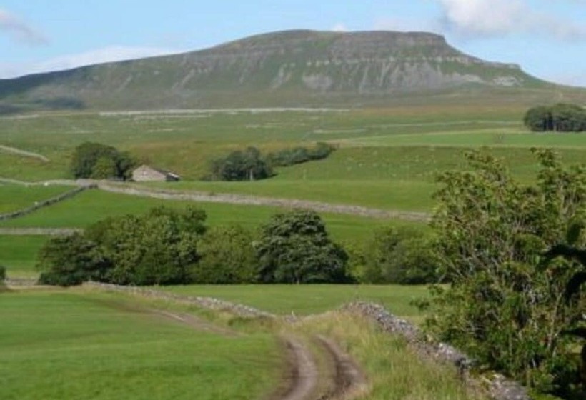 ベッドアンドブレックファースト Black Bull