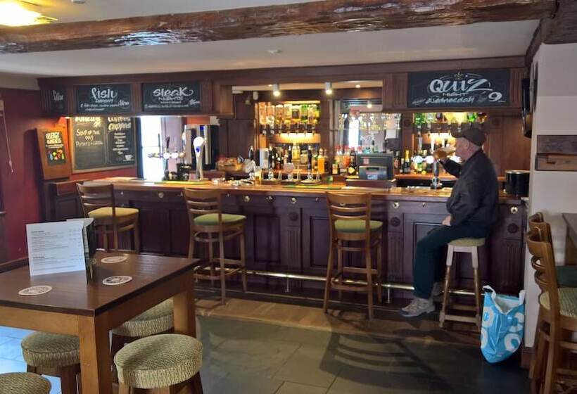 ベッドアンドブレックファースト Black Bull